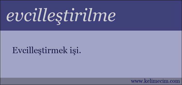 evcilleştirilme kelimesinin anlamı ne demek?