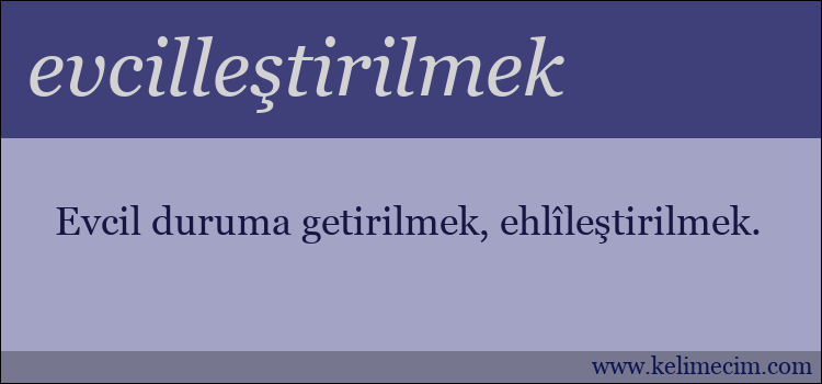 evcilleştirilmek kelimesinin anlamı ne demek?