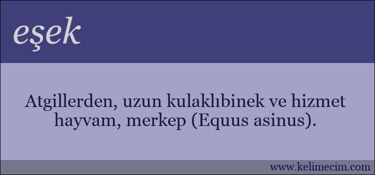 eşek kelimesinin anlamı ne demek?