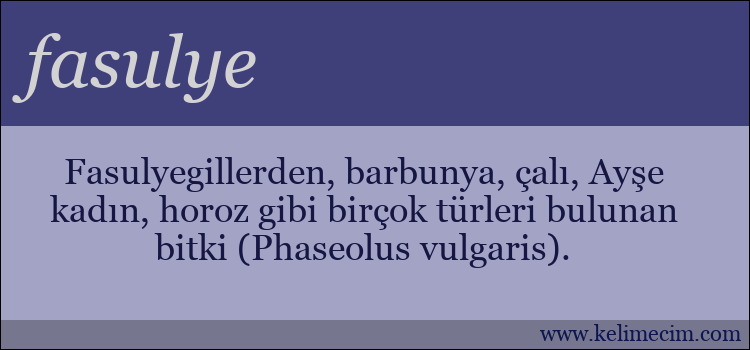 fasulye kelimesinin anlamı ne demek?