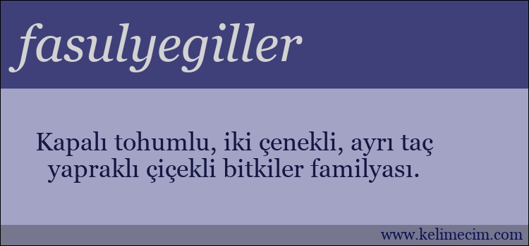 fasulyegiller kelimesinin anlamı ne demek?