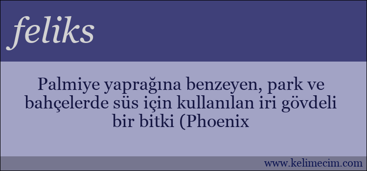 feliks kelimesinin anlamı ne demek?