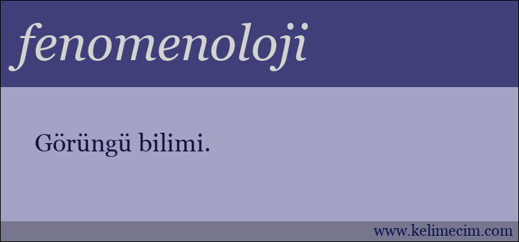 fenomenoloji kelimesinin anlamı ne demek?