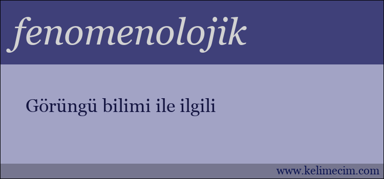 fenomenolojik kelimesinin anlamı ne demek?