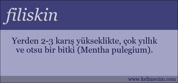 filiskin kelimesinin anlamı ne demek?