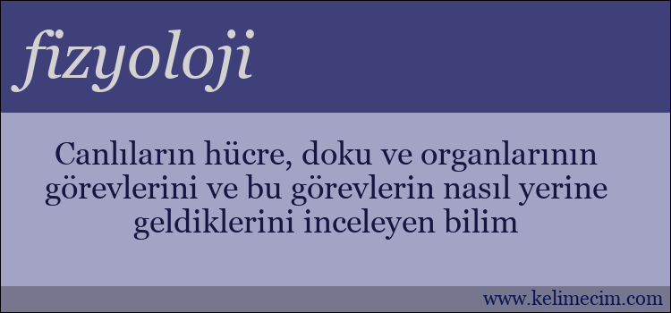 fizyoloji kelimesinin anlamı ne demek?