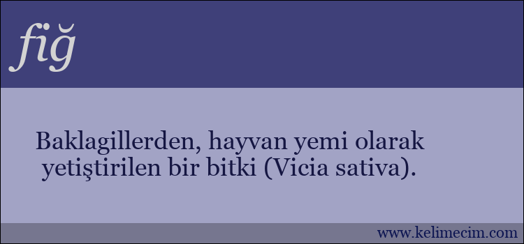 fiğ kelimesinin anlamı ne demek?