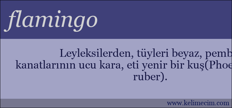 flamingo kelimesinin anlamı ne demek?