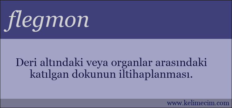 flegmon kelimesinin anlamı ne demek?