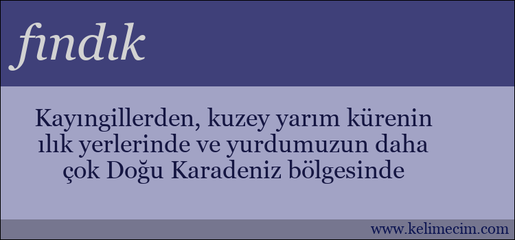 fındık kelimesinin anlamı ne demek?