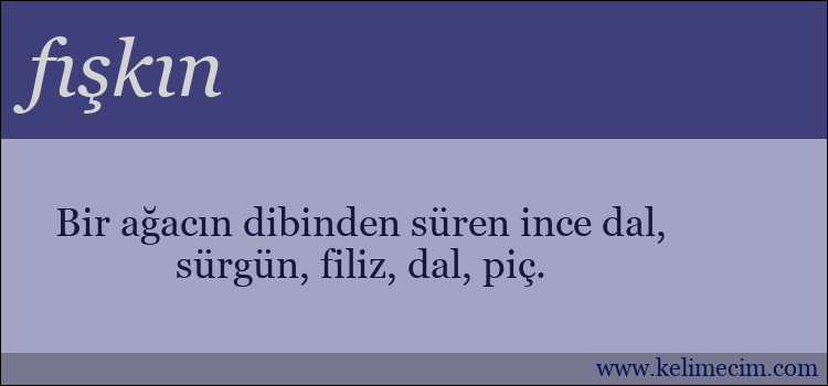 fışkın kelimesinin anlamı ne demek?