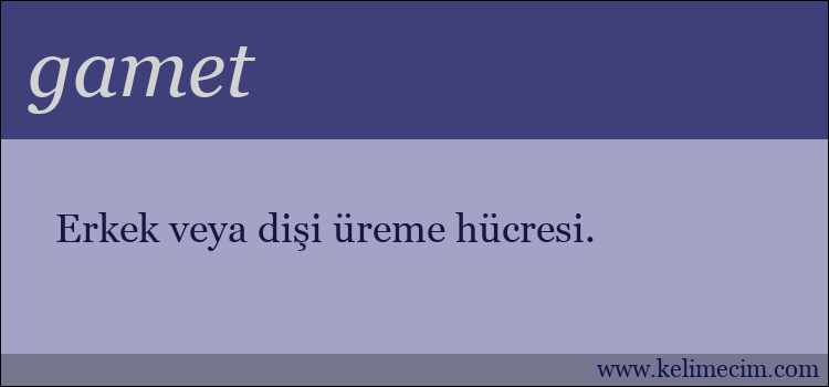 gamet kelimesinin anlamı ne demek?