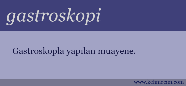 gastroskopi kelimesinin anlamı ne demek?