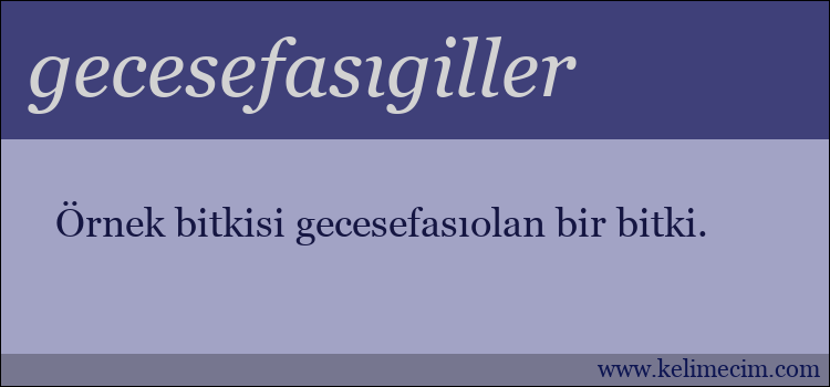 gecesefasıgiller kelimesinin anlamı ne demek?