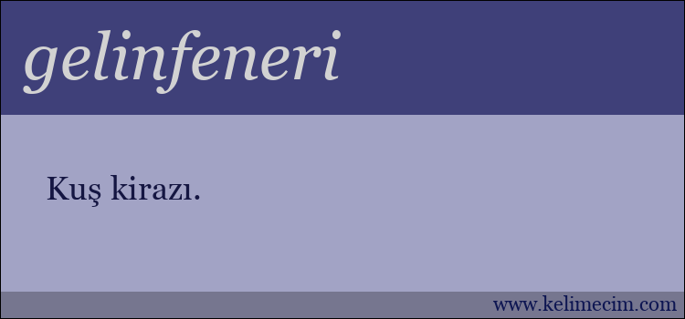 gelinfeneri kelimesinin anlamı ne demek?