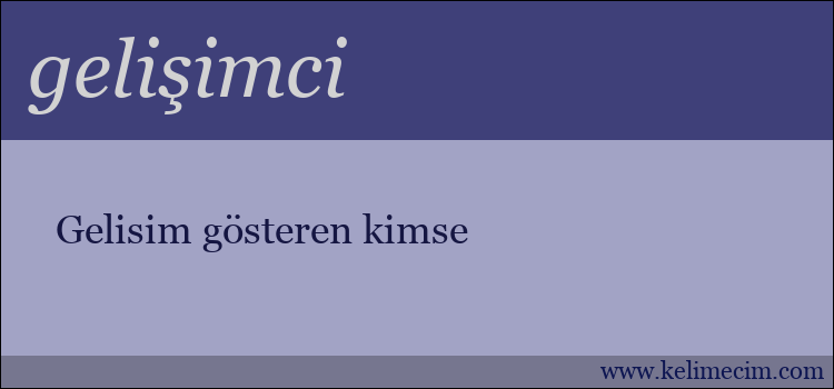 gelişimci kelimesinin anlamı ne demek?