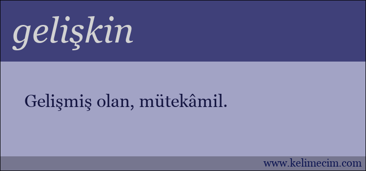 gelişkin kelimesinin anlamı ne demek?