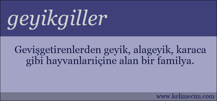 geyikgiller kelimesinin anlamı ne demek?