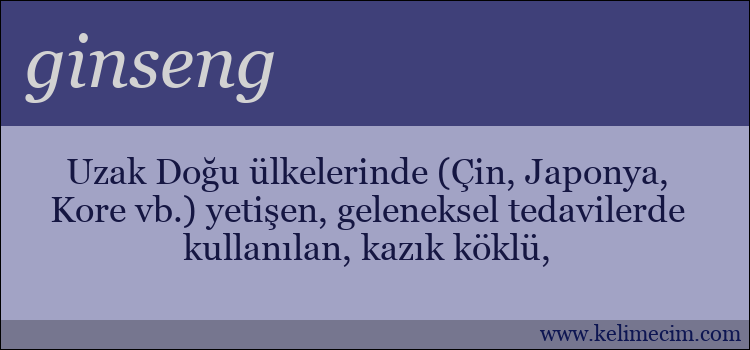 ginseng kelimesinin anlamı ne demek?