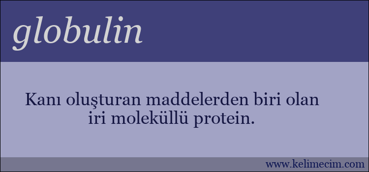 globulin kelimesinin anlamı ne demek?