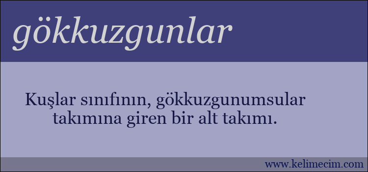 gökkuzgunlar kelimesinin anlamı ne demek?