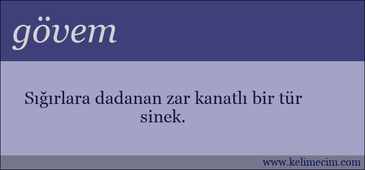 gövem kelimesinin anlamı ne demek?