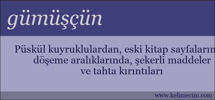 gümüşçün kelimesinin anlamı ne demek?