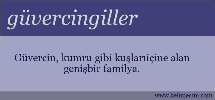 güvercingiller kelimesinin anlamı ne demek?