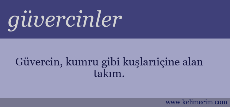 güvercinler kelimesinin anlamı ne demek?