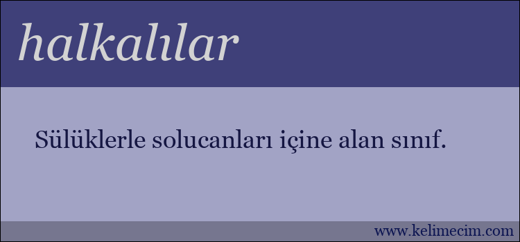 halkalılar kelimesinin anlamı ne demek?