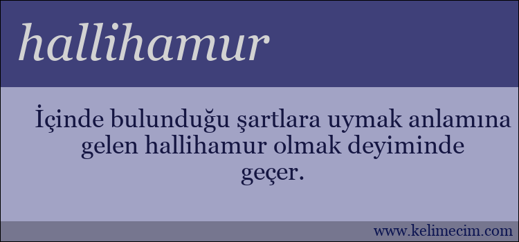 hallihamur kelimesinin anlamı ne demek?