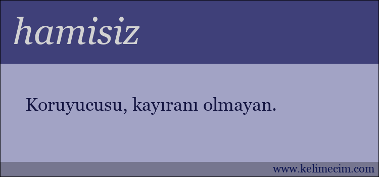 hamisiz kelimesinin anlamı ne demek?