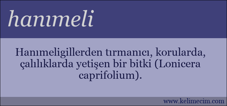 hanımeli kelimesinin anlamı ne demek?