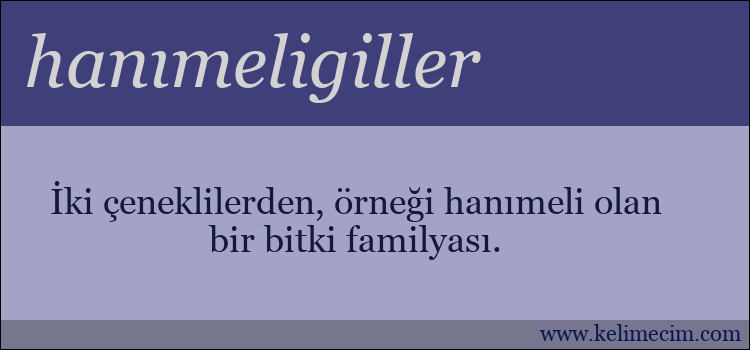 hanımeligiller kelimesinin anlamı ne demek?