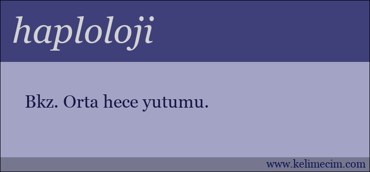 haploloji kelimesinin anlamı ne demek?