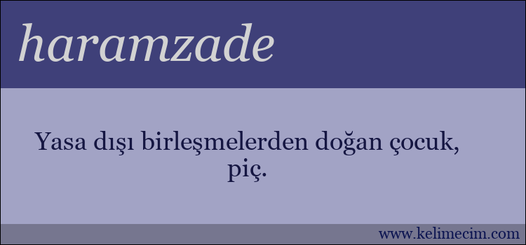 haramzade kelimesinin anlamı ne demek?