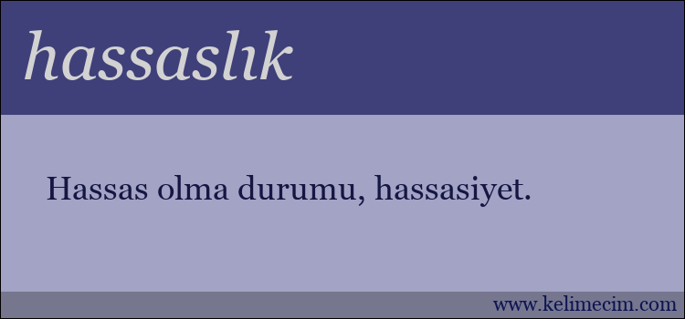 hassaslık kelimesinin anlamı ne demek?