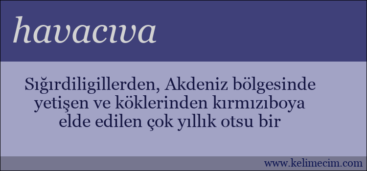 havacıva kelimesinin anlamı ne demek?