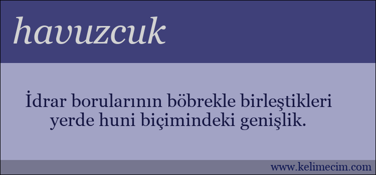 havuzcuk kelimesinin anlamı ne demek?