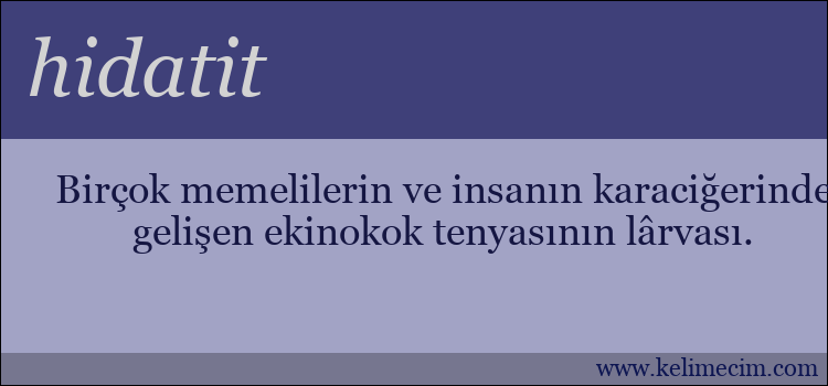 hidatit kelimesinin anlamı ne demek?