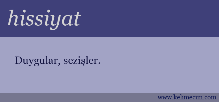 hissiyat kelimesinin anlamı ne demek?