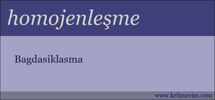 homojenleşme kelimesinin anlamı ne demek?