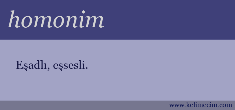 homonim kelimesinin anlamı ne demek?