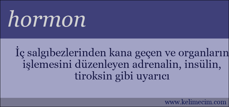 hormon kelimesinin anlamı ne demek?