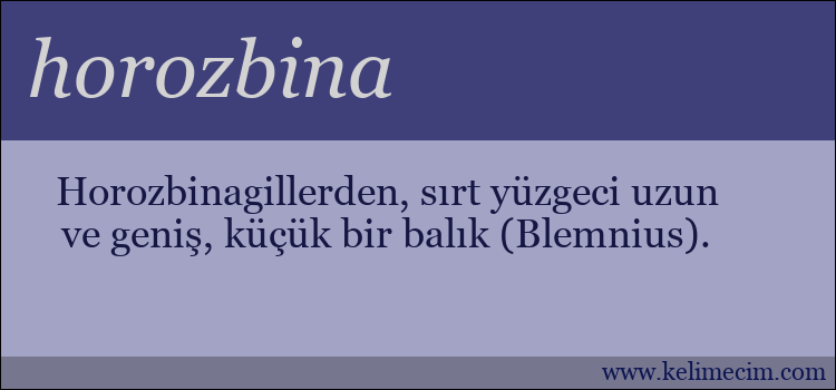 horozbina kelimesinin anlamı ne demek?