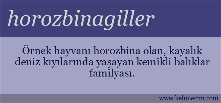 horozbinagiller kelimesinin anlamı ne demek?