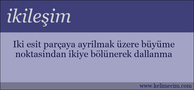 ikileşim kelimesinin anlamı ne demek?