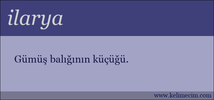 ilarya kelimesinin anlamı ne demek?