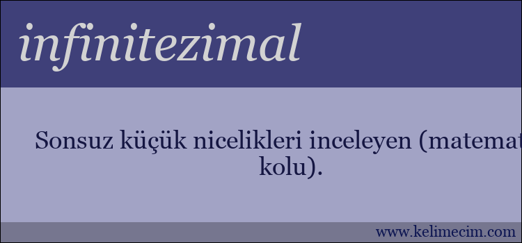 infinitezimal kelimesinin anlamı ne demek?