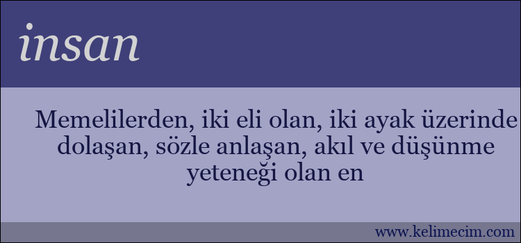 insan kelimesinin anlamı ne demek?